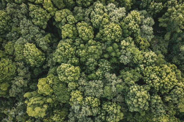 Comment les énergies renouvelables peuvent-elles transformer nos villes ?